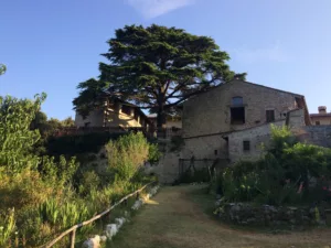 Camino perso sur le camino di francesco