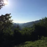 Le silence du marcheur
