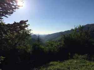 Le silence du marcheur