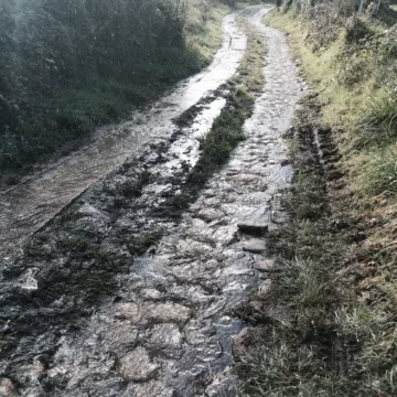 Galice Camino Francés 1998